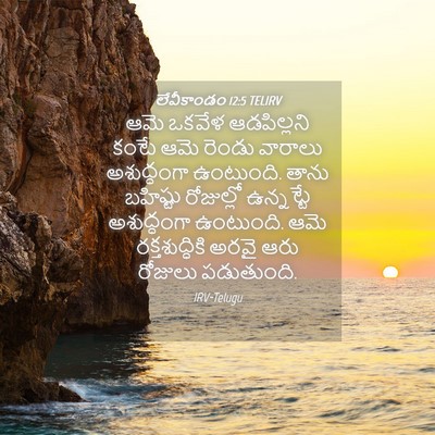 Picture 04 - లేవీకాండం 12:5 TELIRV - ఆమె ఒకవేళ - Bible Verse Picture