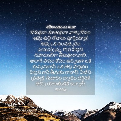 Picture 04 - లేవీకాండం 12:6 TELIRV - కొడుకైనా, - Bible Verse Picture