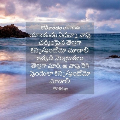 Picture 04 - లేవీకాండం 13:10 TELIRV - యాజకుడు ఏదన్నా - Bible Verse Picture
