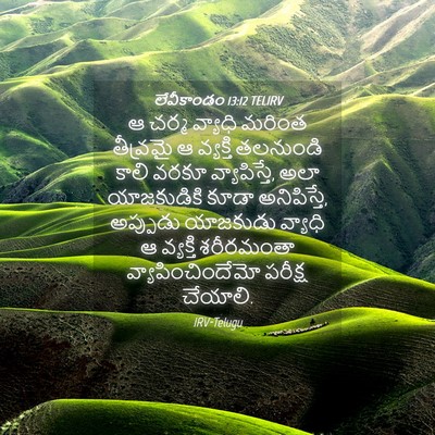 Picture 04 - లేవీకాండం 13:12 TELIRV - ఆ చర్మ వ్యాధి - Bible Verse Picture