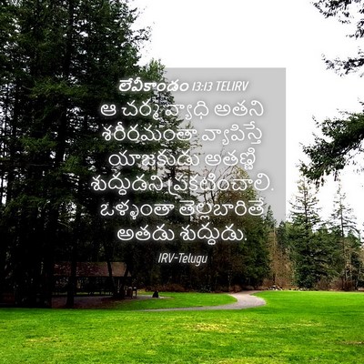 Picture 04 - లేవీకాండం 13:13 TELIRV - ఆ చర్మ వ్యాధి అతని - Bible Verse Picture