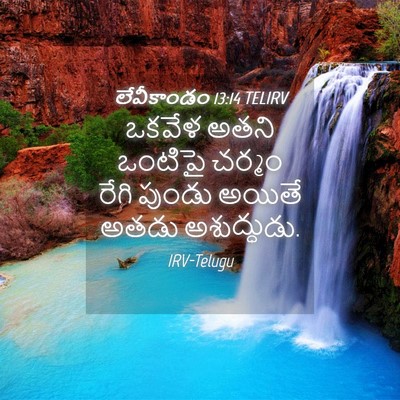 Picture 04 - లేవీకాండం 13:14 TELIRV - ఒకవేళ అతని ఒంటిపై - Bible Verse Picture