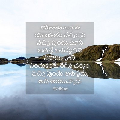 Picture 04 - లేవీకాండం 13:15 TELIRV - యాజకుడు చర్మంపై - Bible Verse Picture
