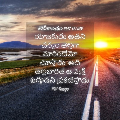 Picture 04 - లేవీకాండం 13:17 TELIRV - యాజకుడు అతని - Bible Verse Picture