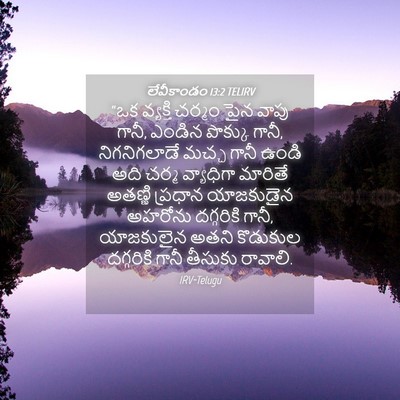 Picture 04 - లేవీకాండం 13:2 TELIRV - “ఒక వ్యక్తి చర్మం - Bible Verse Picture