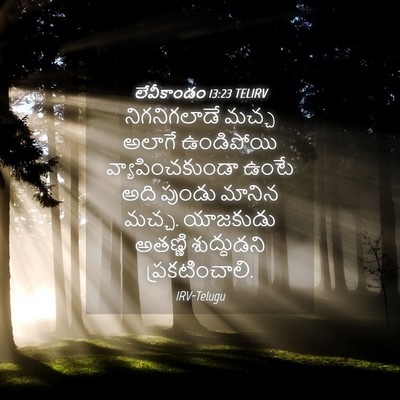 Picture 04 - లేవీకాండం 13:23 TELIRV - నిగనిగలాడే మచ్చ - Bible Verse Picture