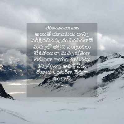 Picture 04 - లేవీకాండం 13:26 TELIRV - అయితే యాజకుడు - Bible Verse Picture