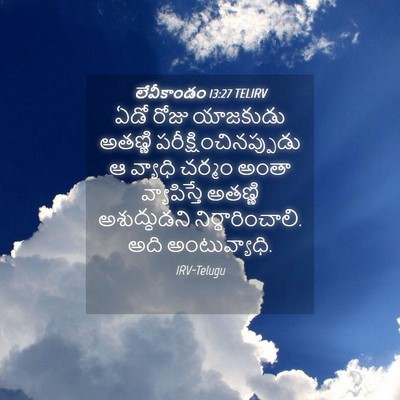 Picture 04 - లేవీకాండం 13:27 TELIRV - ఏడో రోజు యాజకుడు - Bible Verse Picture
