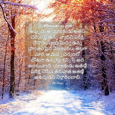 Picture 04 - లేవీకాండం 13:3 TELIRV - అప్పుడు ఆ యాజకుడు - Bible Verse Picture