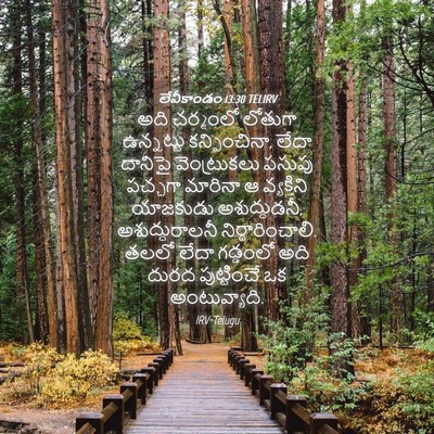 Picture 04 - లేవీకాండం 13:30 TELIRV - అది చర్మంలో - Bible Verse Picture