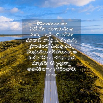 Picture 04 - లేవీకాండం 13:32 TELIRV - ఏడో రోజు యాజకుడు ఆ - Bible Verse Picture