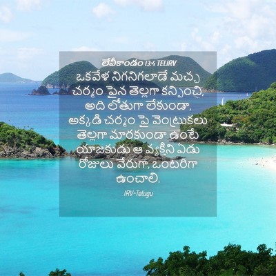 Picture 04 - లేవీకాండం 13:4 TELIRV - ఒకవేళ నిగనిగలాడే - Bible Verse Picture
