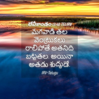 Picture 04 - లేవీకాండం 13:40 TELIRV - మగవాడి తల - Bible Verse Picture