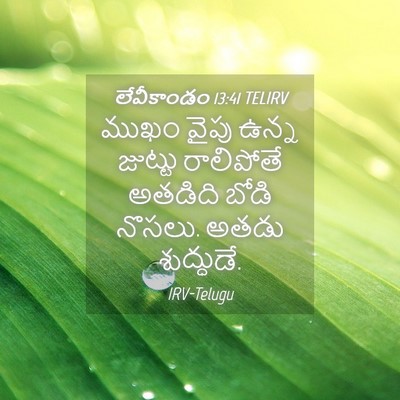 Picture 04 - లేవీకాండం 13:41 TELIRV - ముఖం వైపు ఉన్న - Bible Verse Picture