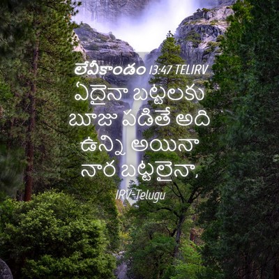 Picture 04 - లేవీకాండం 13:47 TELIRV - ఏదైనా బట్టలకు - Bible Verse Picture