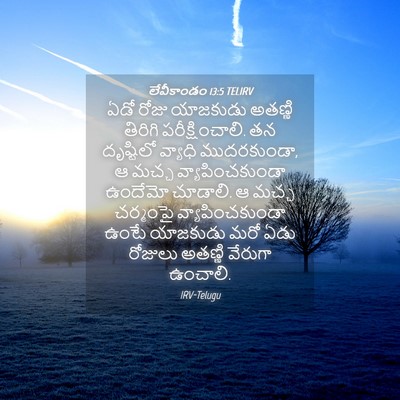 Picture 04 - లేవీకాండం 13:5 TELIRV - ఏడో రోజు యాజకుడు - Bible Verse Picture
