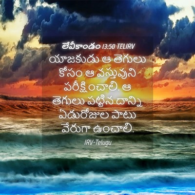 Picture 04 - లేవీకాండం 13:50 TELIRV - యాజకుడు ఆ తెగులు - Bible Verse Picture