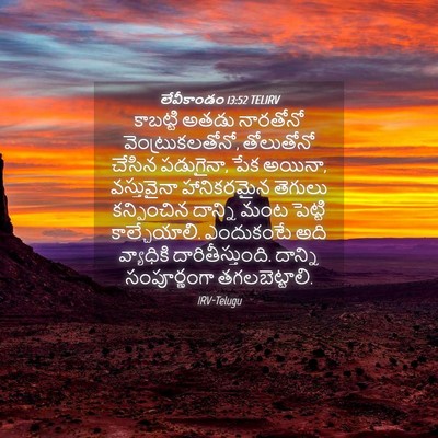Picture 04 - లేవీకాండం 13:52 TELIRV - కాబట్టి అతడు - Bible Verse Picture