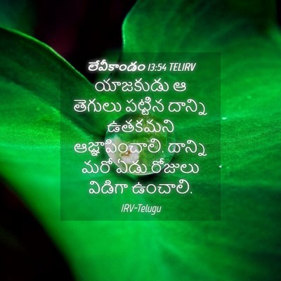 Picture 04 - లేవీకాండం 13:54 TELIRV - యాజకుడు ఆ తెగులు - Bible Verse Picture