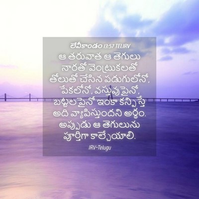 Picture 04 - లేవీకాండం 13:57 TELIRV - ఆ తరువాత ఆ తెగులు - Bible Verse Picture
