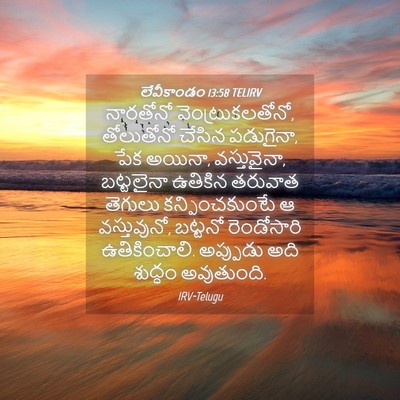 Picture 04 - లేవీకాండం 13:58 TELIRV - నారతోనో - Bible Verse Picture