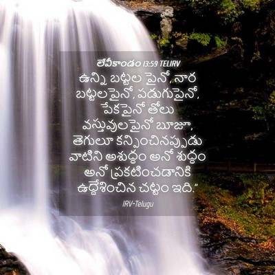 Picture 04 - లేవీకాండం 13:59 TELIRV - ఉన్ని బట్టల పైనో, - Bible Verse Picture