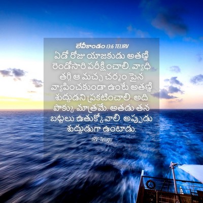 Picture 04 - లేవీకాండం 13:6 TELIRV - ఏడో రోజు యాజకుడు - Bible Verse Picture
