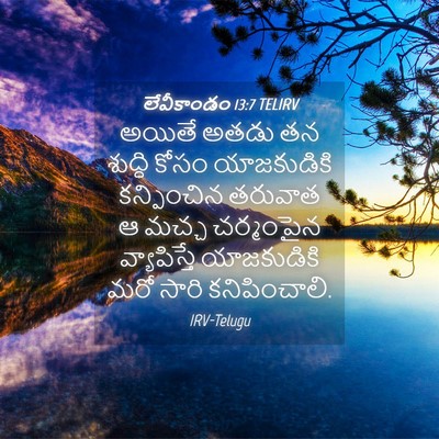 Picture 04 - లేవీకాండం 13:7 TELIRV - అయితే అతడు తన - Bible Verse Picture