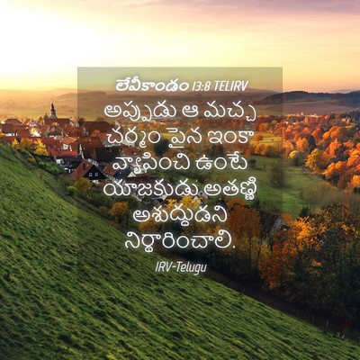 Picture 04 - లేవీకాండం 13:8 TELIRV - అప్పుడు ఆ మచ్చ - Bible Verse Picture
