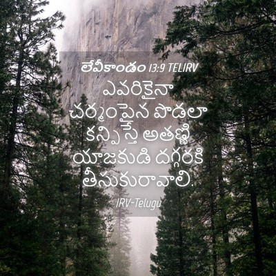 Picture 04 - లేవీకాండం 13:9 TELIRV - ఎవరికైనా చర్మంపైన - Bible Verse Picture