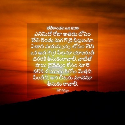 Picture 04 - లేవీకాండం 14:10 TELIRV - ఎనిమిదో రోజు అతడు - Bible Verse Picture