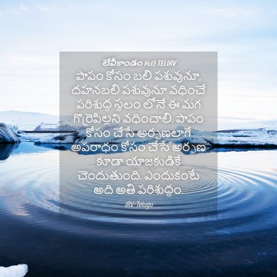 Picture 04 - లేవీకాండం 14:13 TELIRV - పాపం కోసం బలి - Bible Verse Picture