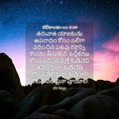 Picture 04 - లేవీకాండం 14:14 TELIRV - తరువాత యాజకుడు - Bible Verse Picture