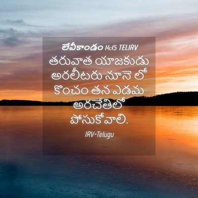 Picture 04 - లేవీకాండం 14:15 TELIRV - తరువాత యాజకుడు - Bible Verse Picture