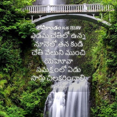 Picture 04 - లేవీకాండం 14:16 TELIRV - ఎడమ చేతిలో ఉన్న - Bible Verse Picture