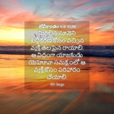 Picture 04 - లేవీకాండం 14:18 TELIRV - మిగిలిన నూనెని - Bible Verse Picture