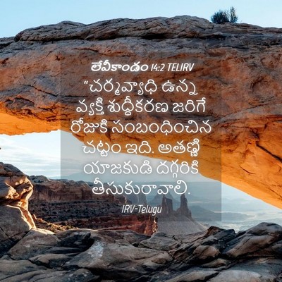Picture 04 - లేవీకాండం 14:2 TELIRV - “చర్మవ్యాధి ఉన్న - Bible Verse Picture