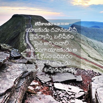Picture 04 - లేవీకాండం 14:20 TELIRV - యాజకుడు దహనబలినీ, - Bible Verse Picture