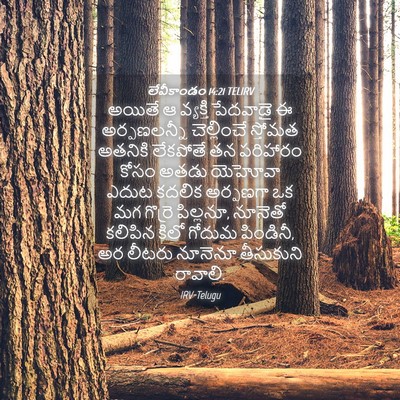 Picture 04 - లేవీకాండం 14:21 TELIRV - అయితే ఆ వ్యక్తి - Bible Verse Picture