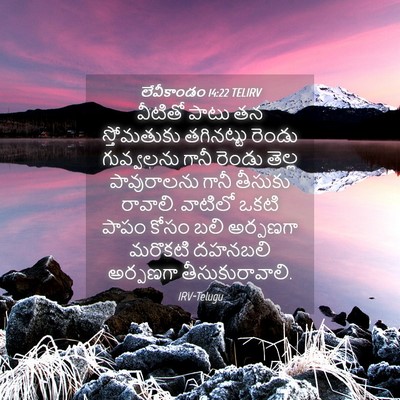 Picture 04 - లేవీకాండం 14:22 TELIRV - వీటితో పాటు తన - Bible Verse Picture