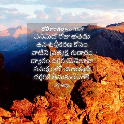 Picture 04 - లేవీకాండం 14:23 TELIRV - ఎనిమిదో రోజు అతడు - Bible Verse Picture
