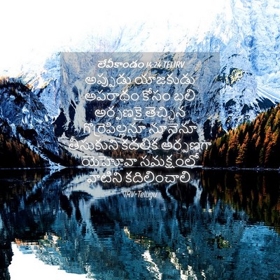 Picture 04 - లేవీకాండం 14:24 TELIRV - అప్పుడు యాజకుడు - Bible Verse Picture