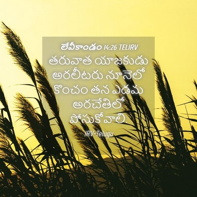 Picture 04 - లేవీకాండం 14:26 TELIRV - తరువాత యాజకుడు - Bible Verse Picture