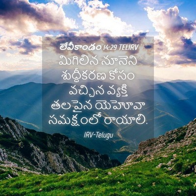 Picture 04 - లేవీకాండం 14:29 TELIRV - మిగిలిన నూనెని - Bible Verse Picture