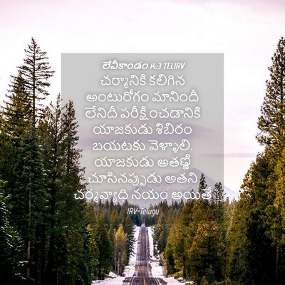 Picture 04 - లేవీకాండం 14:3 TELIRV - చర్మానికి కలిగిన - Bible Verse Picture