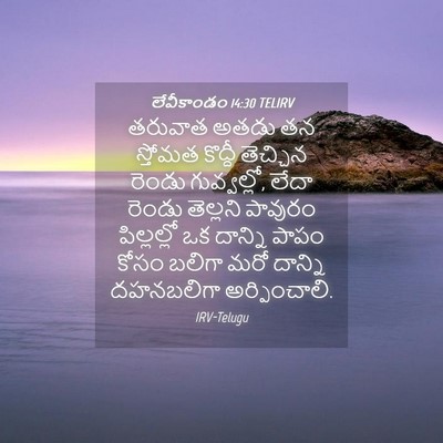 Picture 04 - లేవీకాండం 14:30 TELIRV - తరువాత అతడు తన - Bible Verse Picture