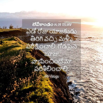 Picture 04 - లేవీకాండం 14:39 TELIRV - ఏడో రోజు యాజకుడు - Bible Verse Picture