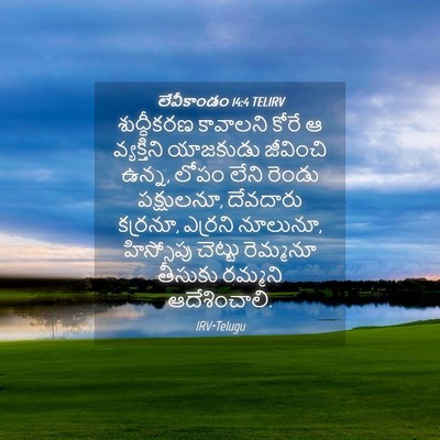 Picture 04 - లేవీకాండం 14:4 TELIRV - శుద్ధీకరణ కావాలని - Bible Verse Picture