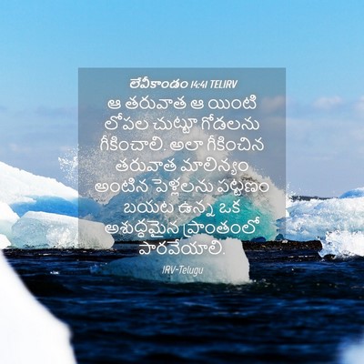 Picture 04 - లేవీకాండం 14:41 TELIRV - ఆ తరువాత ఆ యింటి - Bible Verse Picture