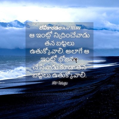 Picture 04 - లేవీకాండం 14:47 TELIRV - ఆ ఇంట్లో - Bible Verse Picture